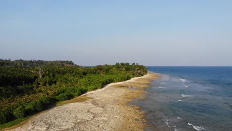 reverse twist drone motion view of andaman island with the andaman sea in the background wild forest with cocounut tree fields