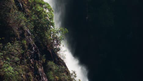 static view bushes near ellenborough falls in new south wales, water flowing off the cliff edge, lush green colours in the morning