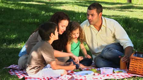 Familie-Schlemmt-Bei-Einem-Picknick-Auf-Einer-Tischdecke