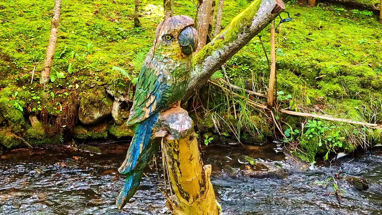 Colorful Parrot Sculpture on Tree Trunk Beside Forest Stream and Moss Rocks