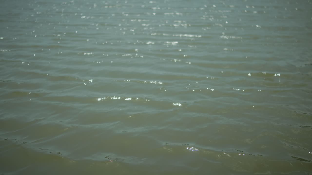 The surface of shallow water gently ripples as sunlight reflects on it, revealing sand or silt below
