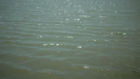 the surface of shallow water gently ripples as sunlight reflects on it, revealing sand or silt below