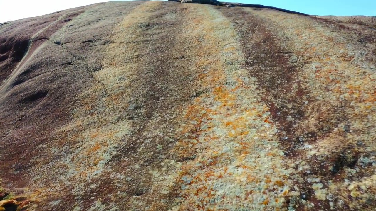 Panoramic upward view of large weathered granite slab with dense lichen patches, orange and yellow mineral staining, rough granular surface, tufted grasses, and soft daylight against pale sky