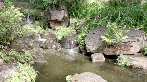 Pequeña-Cascada-Fluye-Hacia-El-Estanque,-Jardines-Japoneses-Brisbane