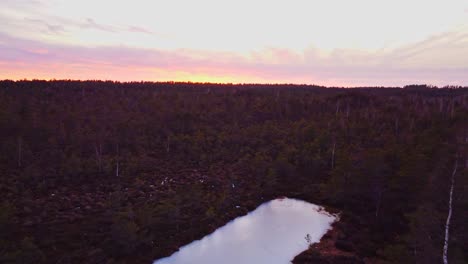 Bright-sunset-over-swampland-and-frozen-water-lake-on-winter-season