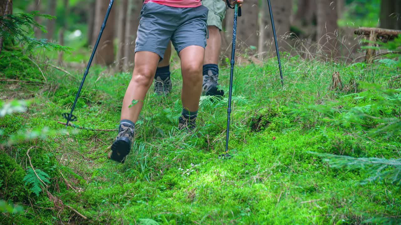 Low angle shot of a couple of hikers with boots and poles exploring a magical green forest