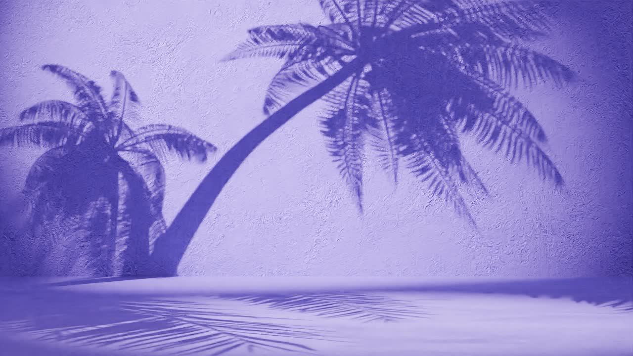 질이 보라색 벽에 있는 종려나무 그림자
