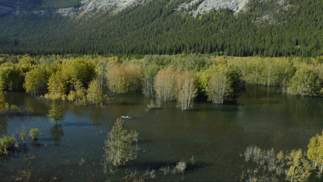 Kayak-En-El-Lago-Abraham-Con-árboles-De-Colores-Otoñales-En-Alberta,-Canadá