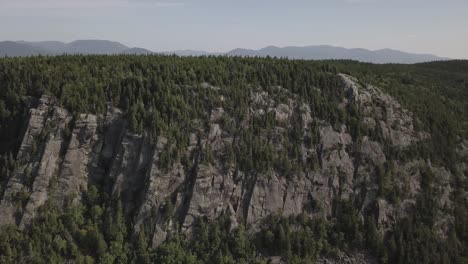 aerial drone shot panning across forest on mountain side