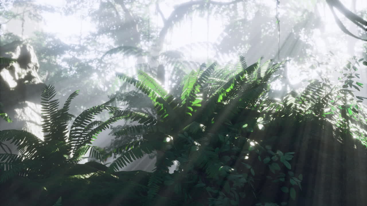 Sunlight filters through lush greenery in an enchanting jungle setting