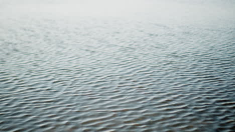 waves-water-lake