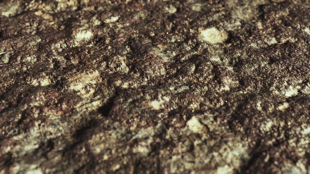 cierre de una carretera de tierra sucia