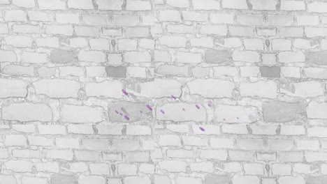 animación de rastros de luz púrpura sobre fondo blanco