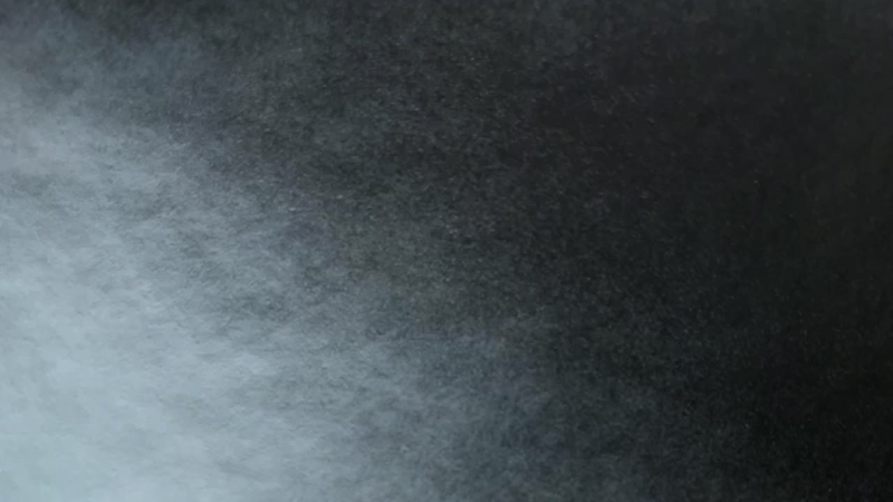 animación en cámara lenta de partículas orgánicas o de polvo voladoras