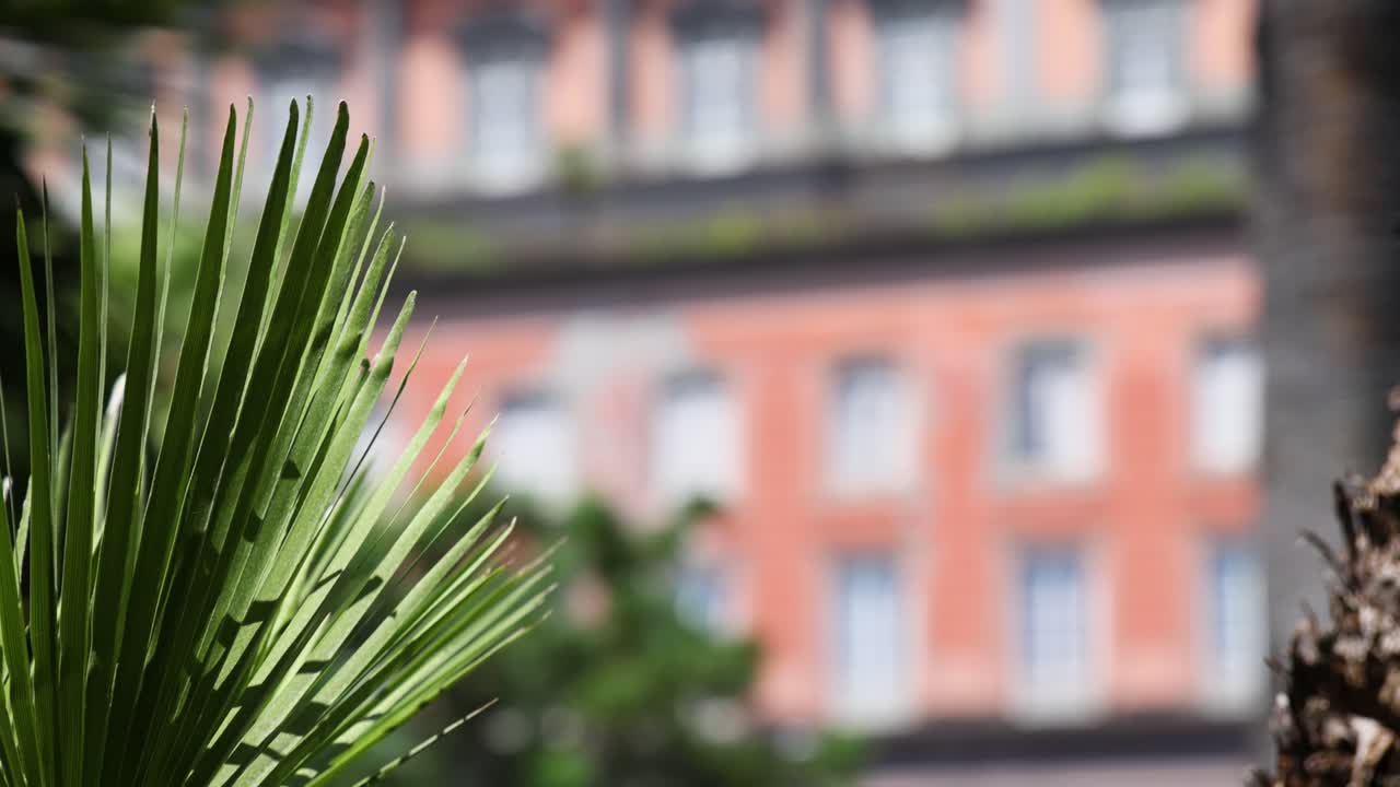 건물 배경이 흐릿한 잎