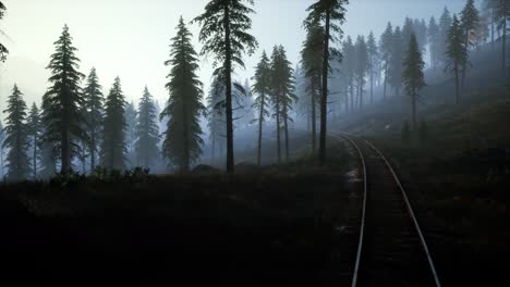 Nationales-Walderholungsgebiet-Und-Der-Nebel-Mit-Eisenbahn