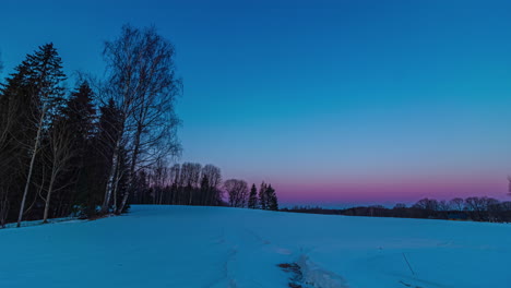 Time-lapse-of-pine-forest-and-snowy-open-field-with-faded-vehicle-trail