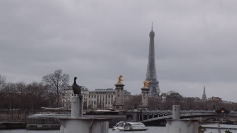 vista panorámica de un cormorán descansando en el pilar con un barco turístico y la torre eiffel en el fondo en parís, francia