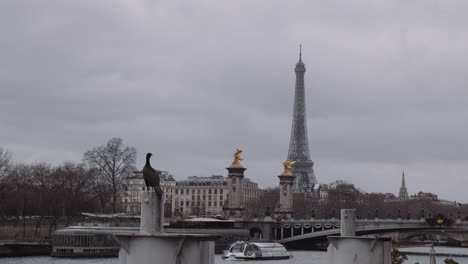 scenic view of a cormorant resting on the pillar with tourist boat and eiffel tower in background in paris, france