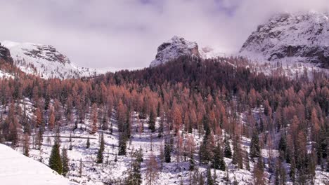 Bosque-De-Pinos-En-La-Ladera-De-La-Montaña-Durante-El-Invierno-Blanco,-Antena