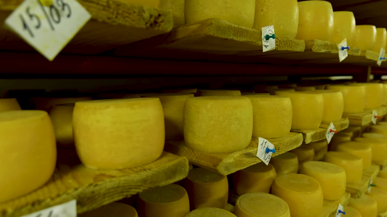 vista de las ruedas de queso de parmesán madurando en los estantes de la bodega de la fábrica de queso