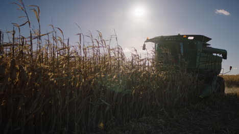 Combine-Harvester,-Sunny-Day,-Slow-Motion