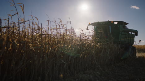 combine harvester, sunny day, slow motion