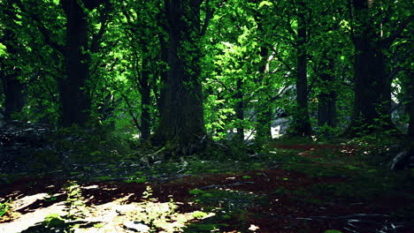 Wunderschönes-Hellgrünes-Moos-Bedeckt-Die-Rauen-Steine