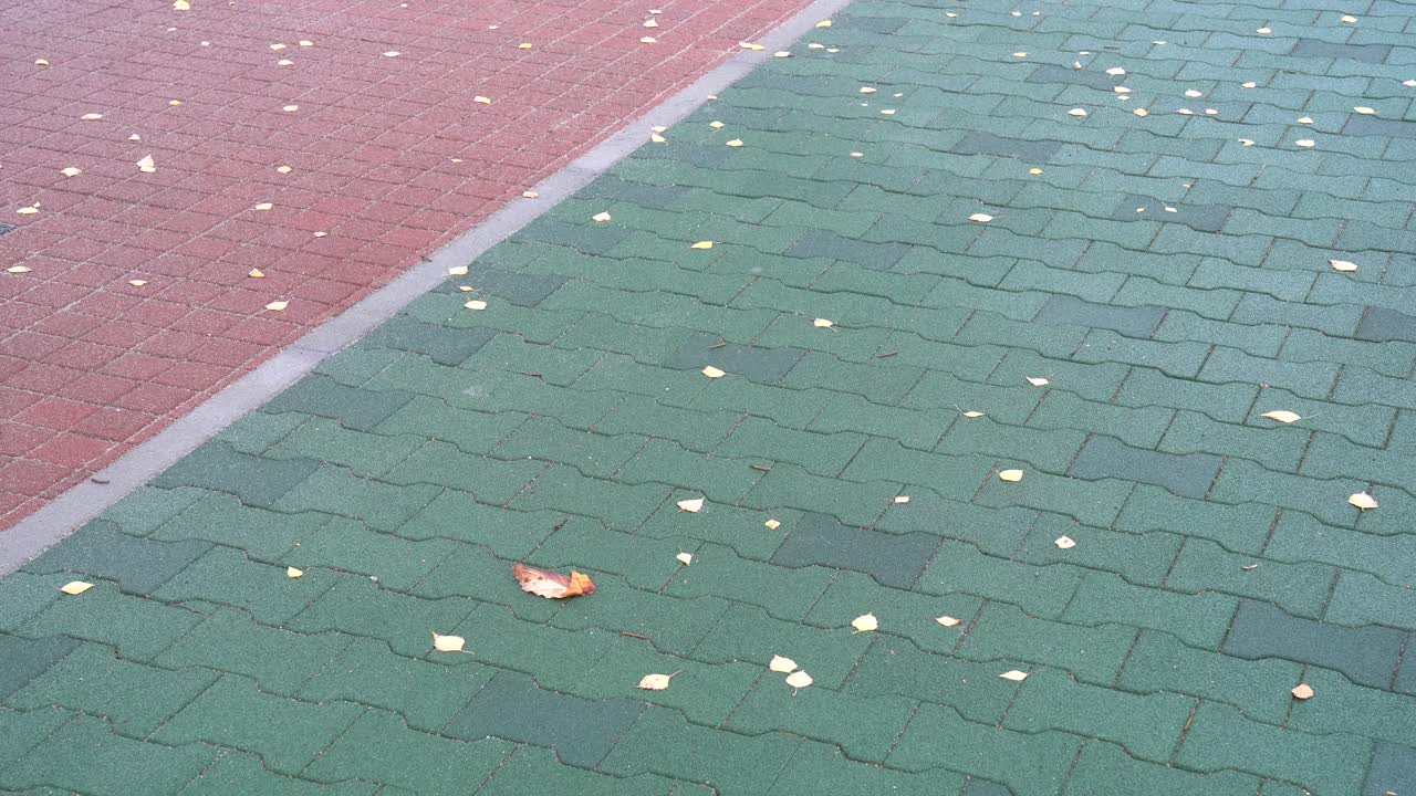 Autumn Leaves Scattered on Red and Green Pavement