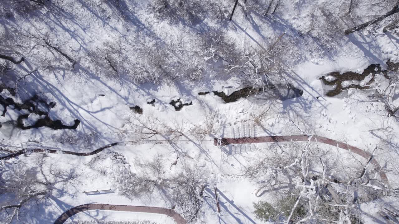 콜로라도의 볼더 캐니언의  ⁇ 길과 숲 - 공중 드론 영상 - 낮