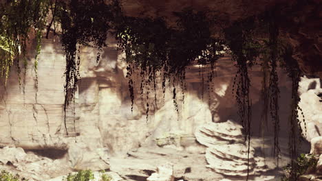 la vista dentro de la cueva de hadas con plantas