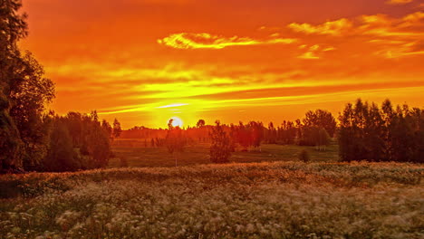 bright red sunrise timelapse over flowered meadow