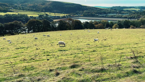 Ogden-Saddleworth-moor-in-Oldham,-England-of-a-series-of-Lakes,-Reservoirs,-set-against-a-backdrop-of-moorland,-woodlands-and-farmland-pastures