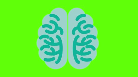 animation of a human brain on a green screen background