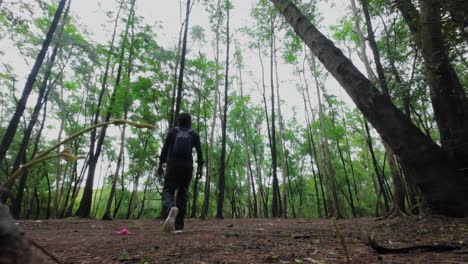 man checking a navigation in forest wide view