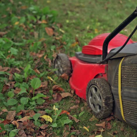 lawn mower at work