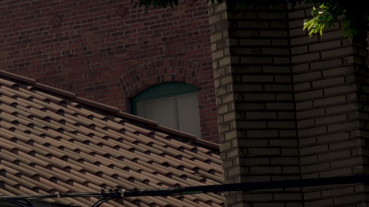 갈색 돌 건물의 근접 사진