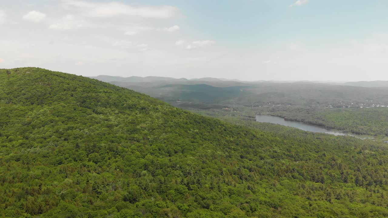 vasto sobrevuelo aéreo de bosque verde sobre el bosque cerca de mud lake, nueva york