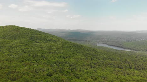 Vast-green-forest-aerial-flyover-above-forest-near-Mud-Lake,-New-York