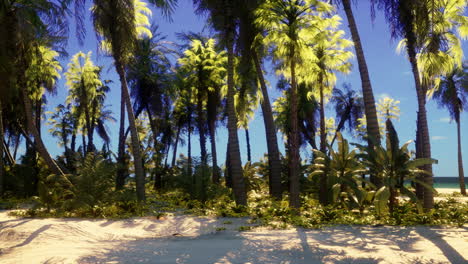 tropical beach with palm trees