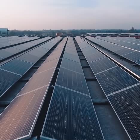 long sunny batteries at sunset. photovoltaic solar panels under the evening sun. renewable energy from the sun. motion camera forward.