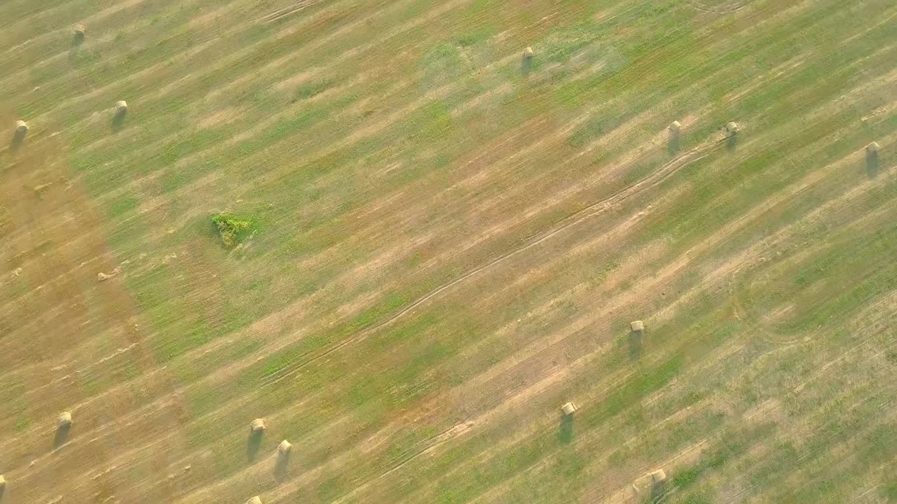 The drone flies over a field where there are haystacks with hay.