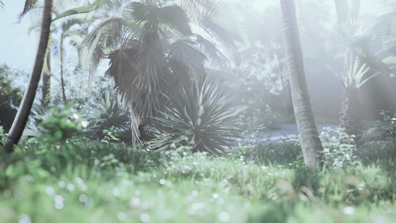 luz de la mañana en el hermoso jardín de la selva