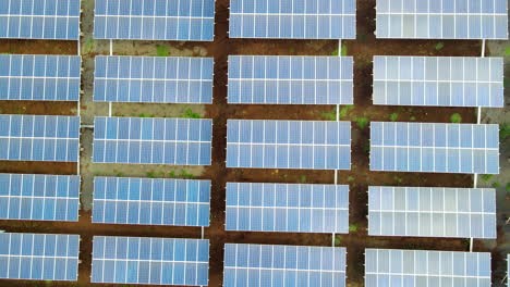 low top down aerial of a lot of solar panels