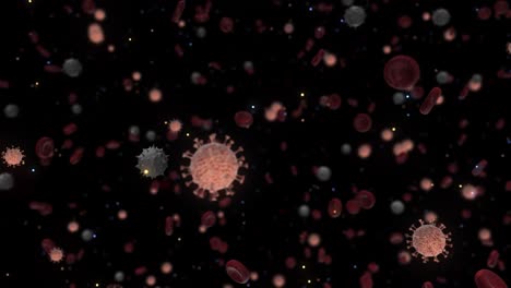 virus y células sanguíneas en vista microscópica