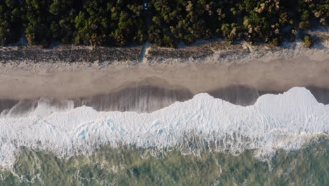 the windy ocean shore