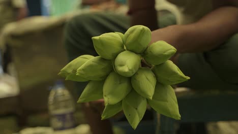 La-Flor-De-Loto-Se-Vende-En-El-Mercado-De-Flores.