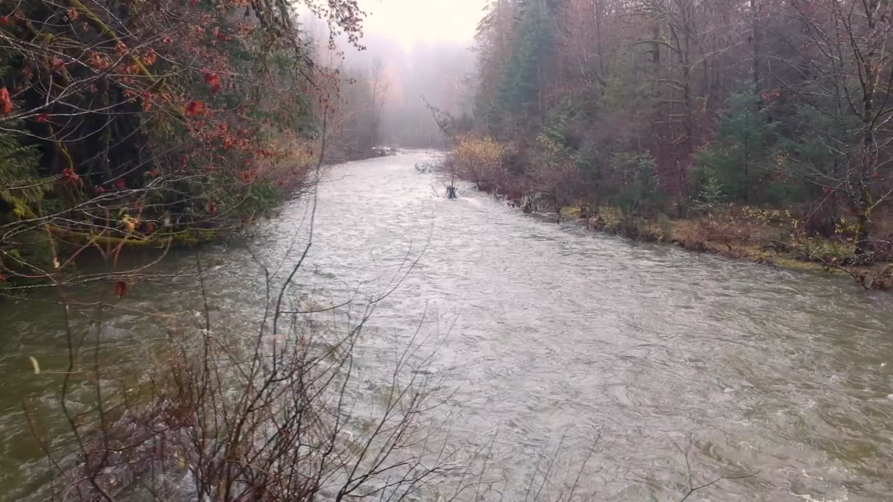 río de rápido movimiento en otoño en canada