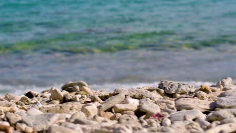 Toma-Deslizante-De-4k-60fps-De-Coral-Muerto-Lavado-En-Una-Playa-Caribeña-Con-Un-Mar-Azul-Cristalino-En-Curacao