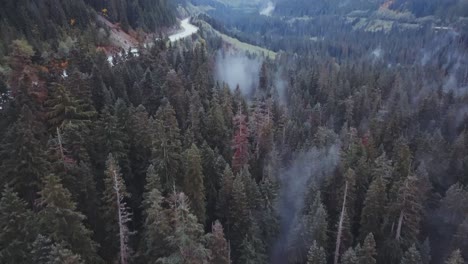 washington state - drone aerial panning upwards along a road cutting through a pine forest, to reveal rising mist and cloudy mountains in the distance, near franklin falls and snowqualmie